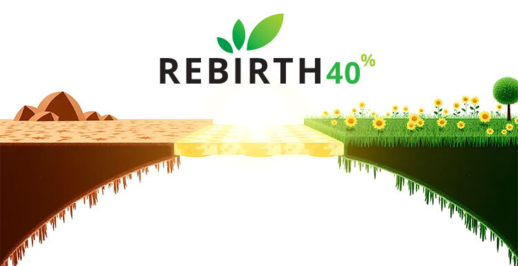 IT_rebirth_A